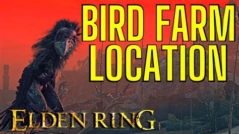 05! Now all 3 of these spots can get you Millions. . Mohgwyn bird farm